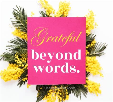 100 Words and Phrases for Beyond Grateful .
